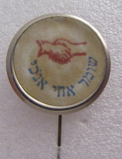 12355.jpg