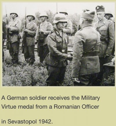 image.jpeg