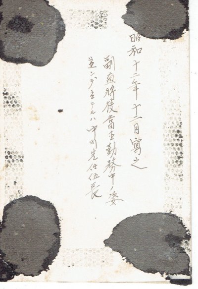 790.jpg