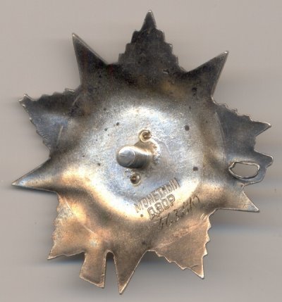 4630.jpg