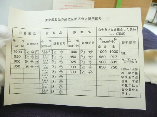 P1000405.jpg