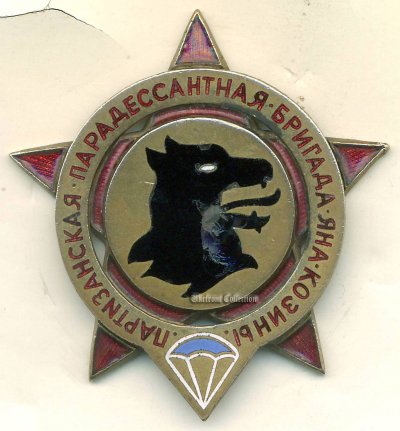 ППДБ Яна Козины-1.JPG