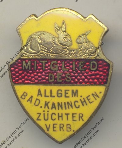 кролики1.jpg