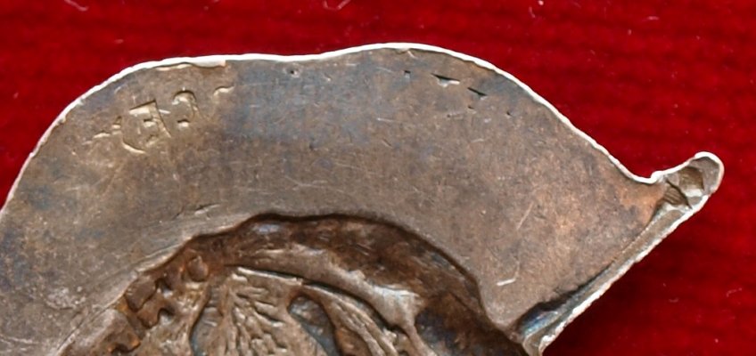 Abzeichen 1f.jpg
