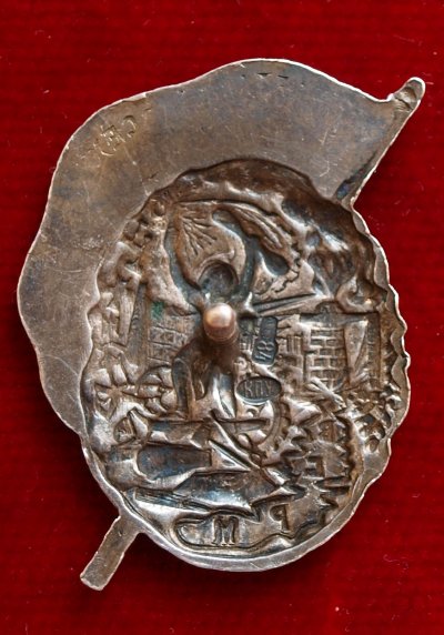 Abzeichen 1b.jpg