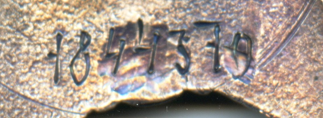 img115.jpg