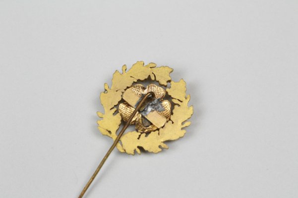 blume1.jpg