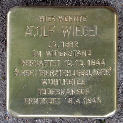 6186150113171219.jpg