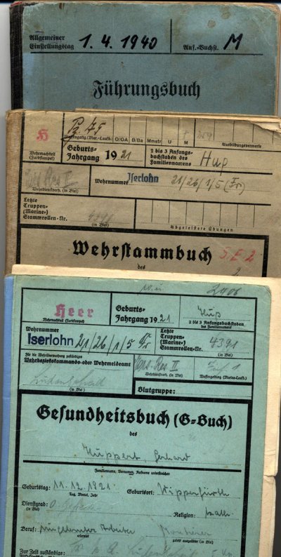 WFG-Buchen-001.jpg