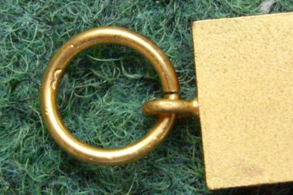 DSCI5786.JPG
