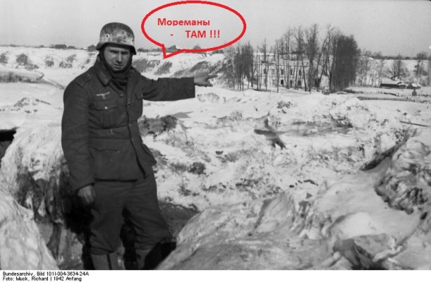 cholm25.jpg