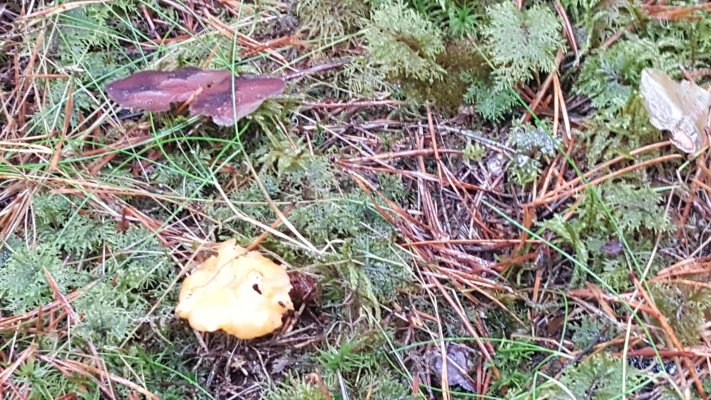 20171226_123952.jpg