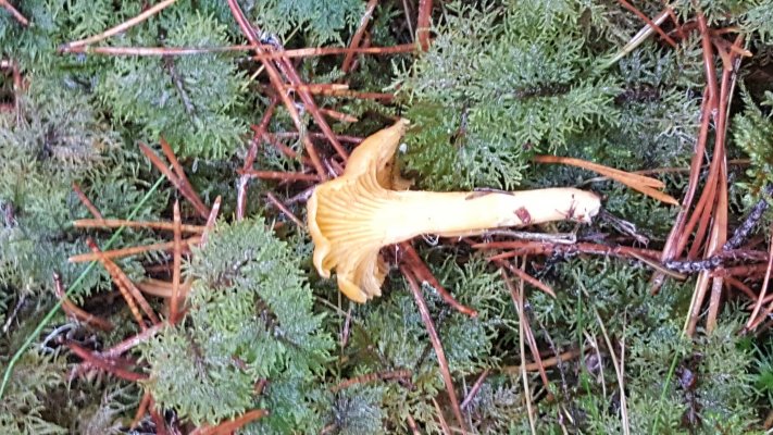 20171226_124002.jpg