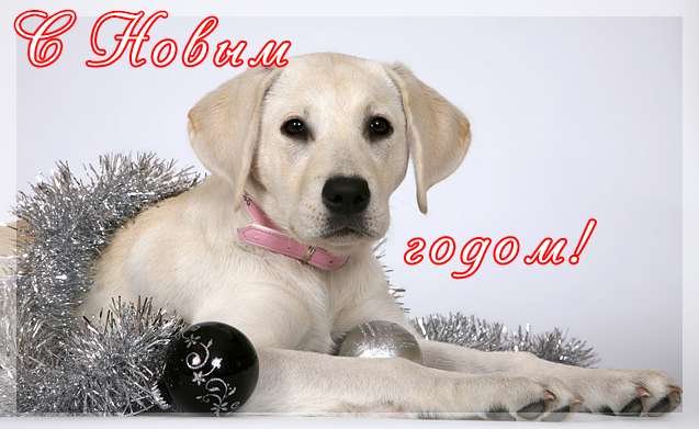 New-Years-cards4.jpg