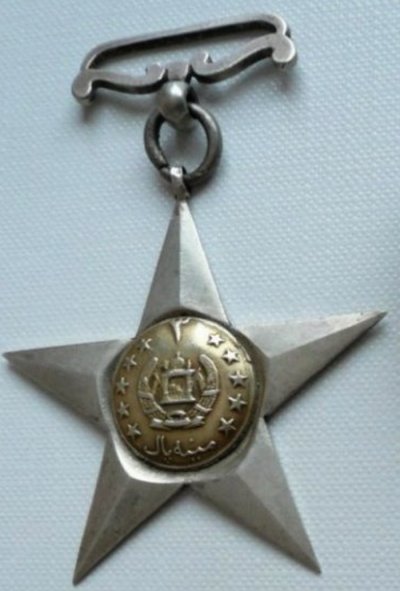 Минапаль3 ст.jpg