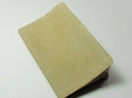 img4239_600.jpg