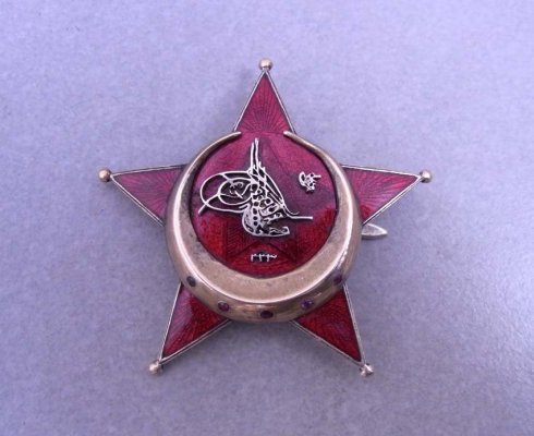 72299231.jpg