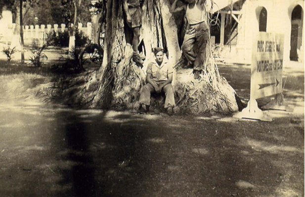 Guster-Foto10.jpg
