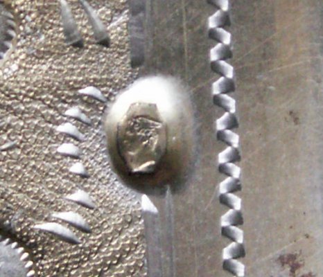 PICT8555.JPG