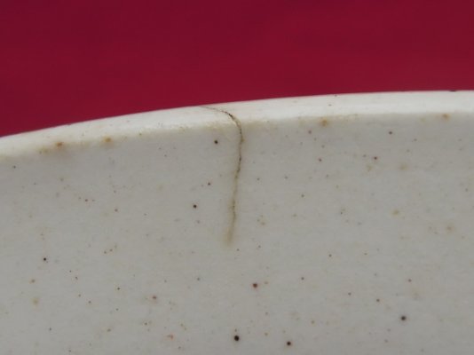 DSCN8308.jpg