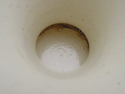 DSCN8312.jpg