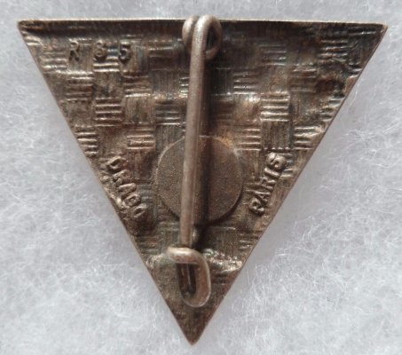 Insigne-1°-COMPAGNIE-2°-REP-PARACHUTISTE-LEGION-ETRANGERE_01.jpg