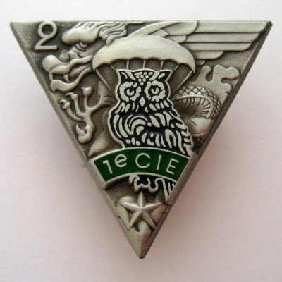 Insigne-1°-COMPAGNIE-2°-REP-PARACHUTISTE-LEGION-ETRANGERE_02.jpg