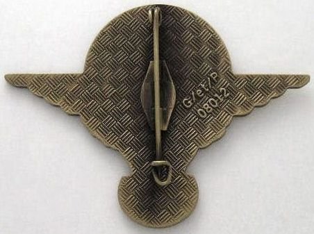 Insigne-1°-COMPAGNIE-2°-REP-PARACHUTISTE-LEGION-ETRANGERE_05.jpg