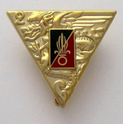 Полковой знак_001_16.jpg