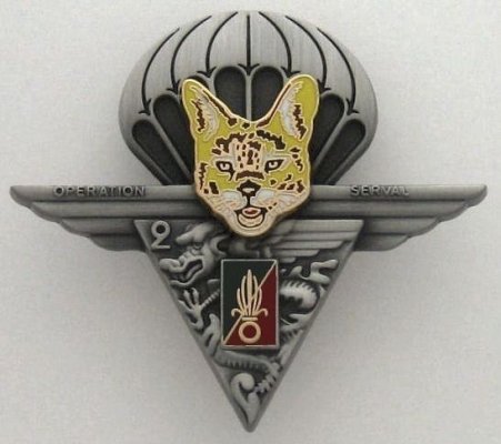 Legion-Etrangere-2-Rep-Operation-Serval_001_01.jpg