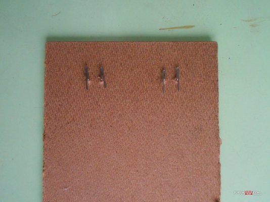 DSCN1351.jpg