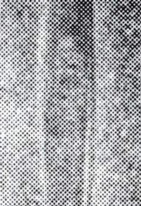 Nimm-Reuss2.jpg