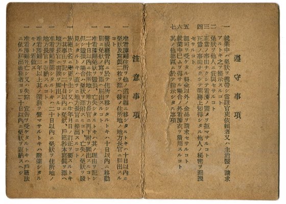 JAPANESE RED CROSS-3.jpg