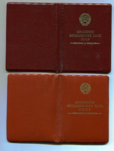 64488657 (1).jpg