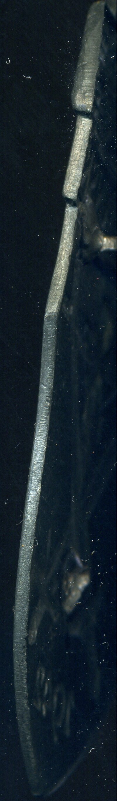 img599.jpg