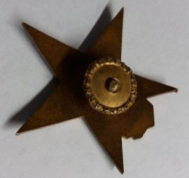 87579983.jpg