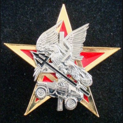 1-rs-insigne-metallique-de-l-escadron-d-eclairage-et-d-intervention-du-4-peloton-du-4-escadron-d.jpg