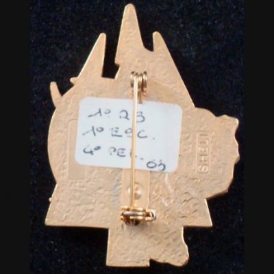 1-rs-insigne-metallique-.jpg