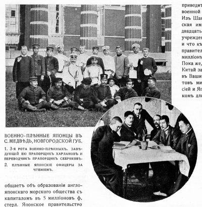 a_medved_7.jpg