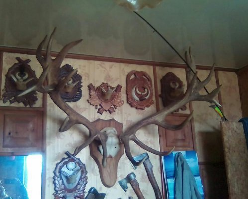 IJwauXGhbAk_1523549830642.jpg