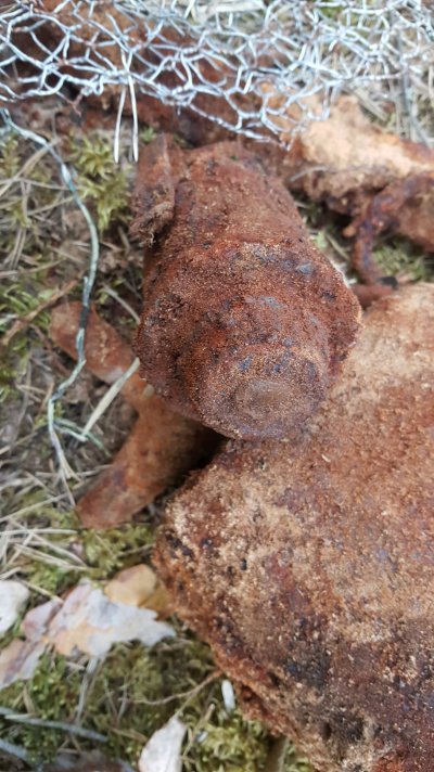 20180516_204037.jpg