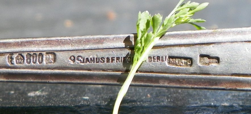 100_1933.JPG