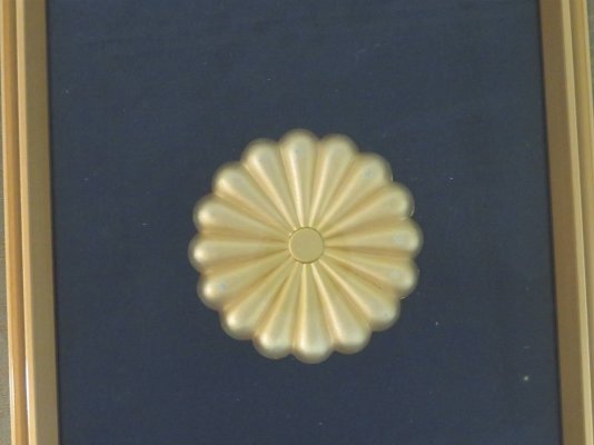 i-img1200x900-1529140992plitxj28655.jpg