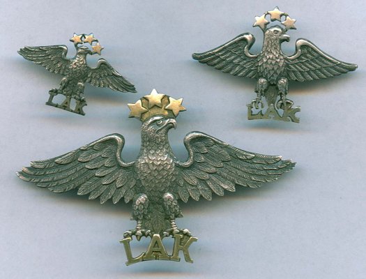 Av               Латышск авиаклуб.jpeg