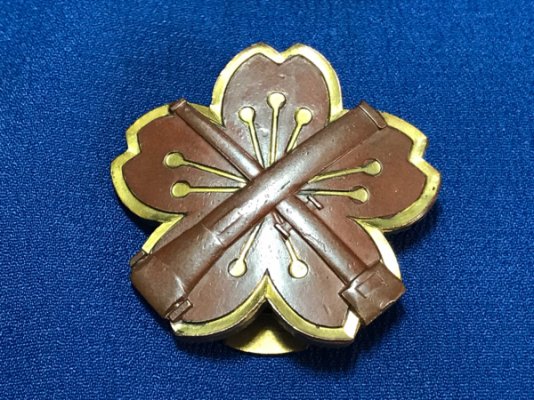 h256578844.1.jpg