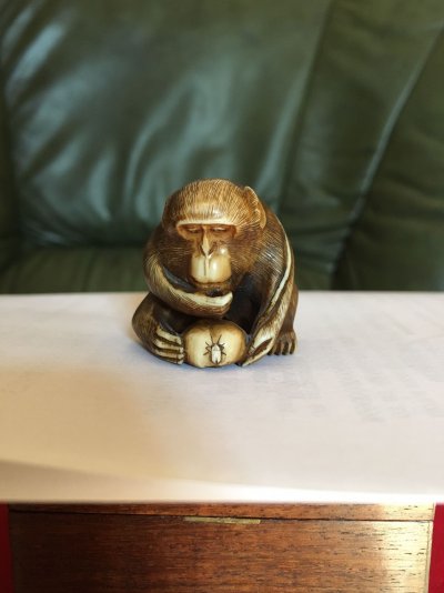 monkey 1.jpg