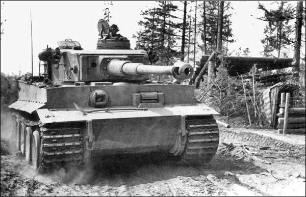 TIGER1-000.jpg