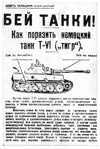 14807099.jpg