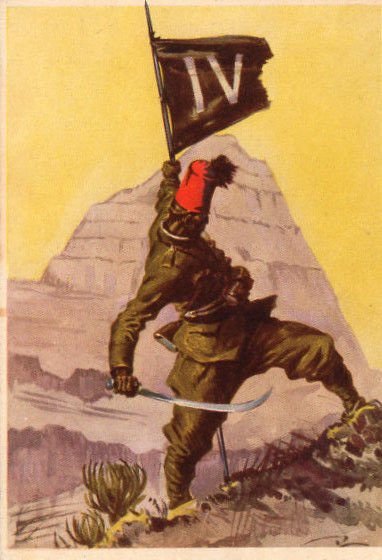 IV Eritr bat (1).JPG