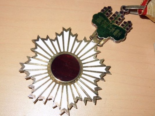 DSCN6988.jpg